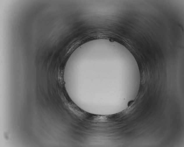 X0000100370140200806060811