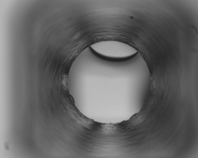 X0000100370141200806060811