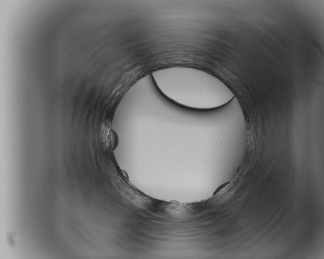 X0000100370142200806060811
