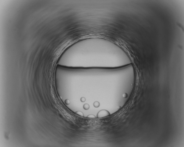 X0000100370145200806060810