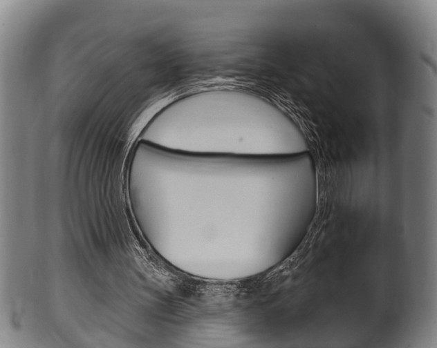 X0000100370147200806060810