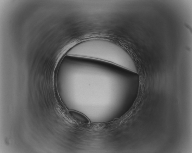 X0000100370148200806060810