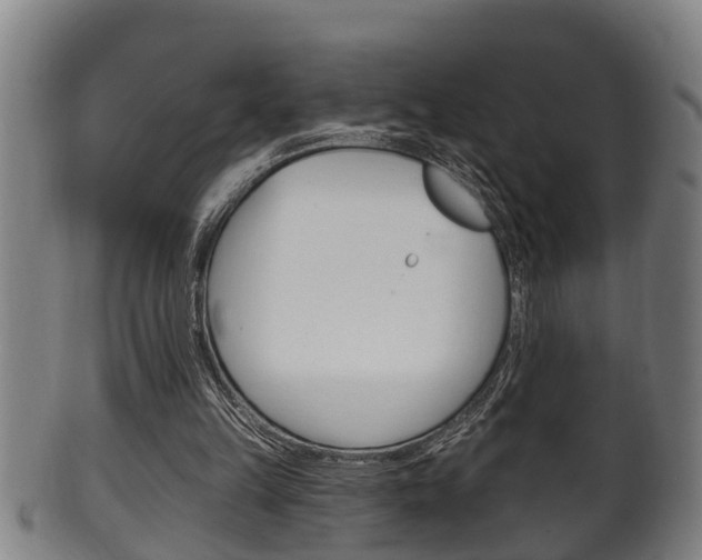 X0000100370149200806060810
