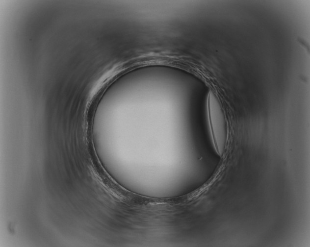 X0000100370150200806060810