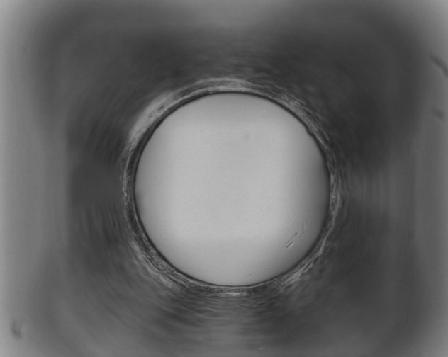 X0000100370151200806060810