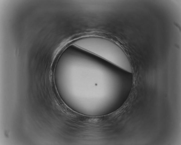 X0000100370152200806060810