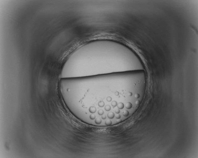 X0000100370153200806060810