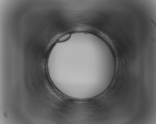 X0000100370155200806060810