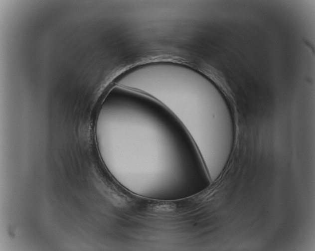X0000100370156200806060810