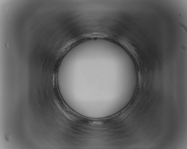 X0000100370157200806060810