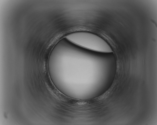 X0000100370158200806060810