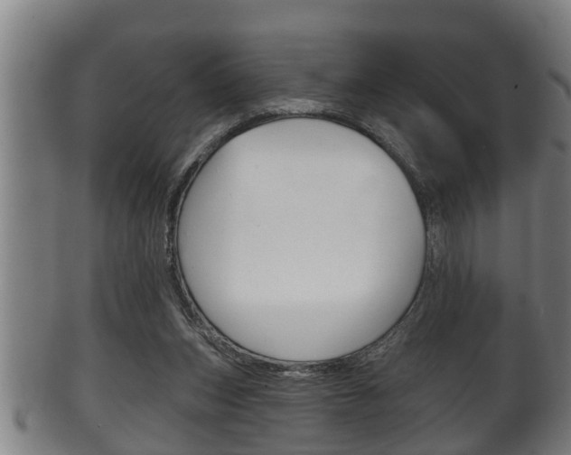 X0000100370159200806060810