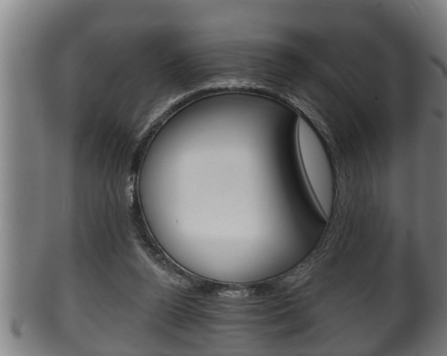X0000100370160200806060810