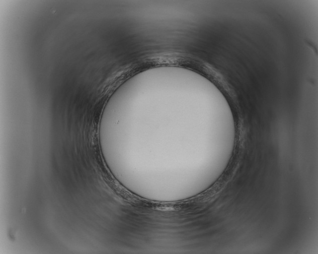 X0000100370161200806060811