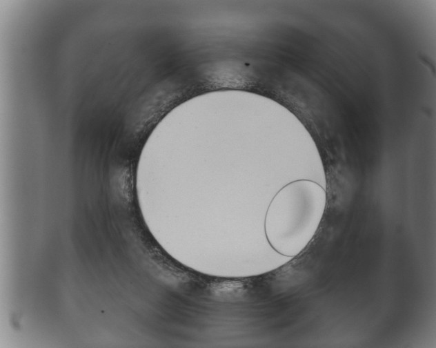 X0000100370162200806060811
