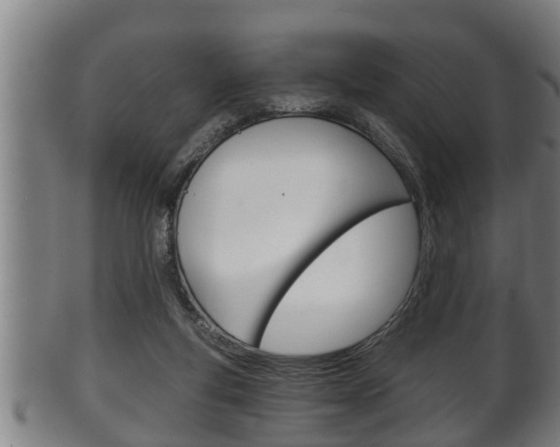 X0000100370163200806060811