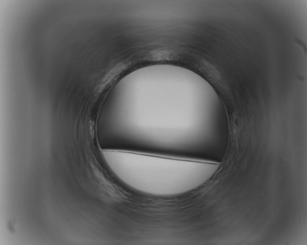 X0000100370164200806060811
