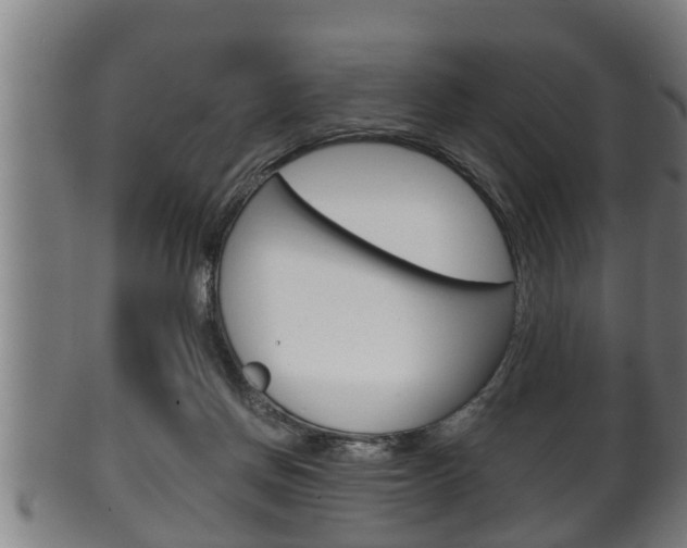 X0000100370166200806060811