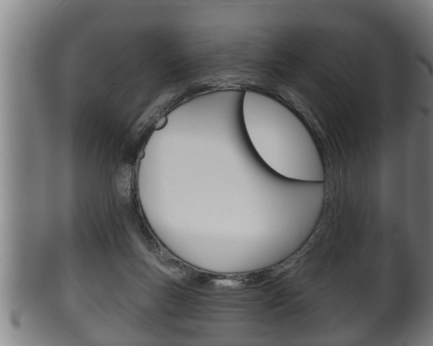 X0000100370167200806060811