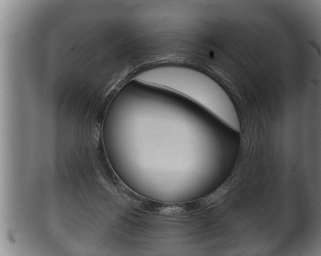 X0000100370168200806060811