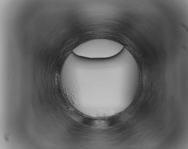 X0000100370169200806060811