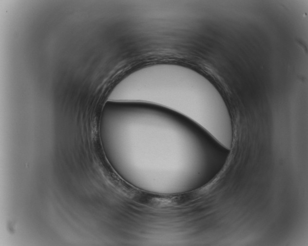 X0000100370170200806060811