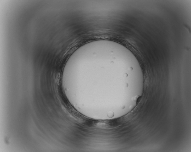 X0000100370171200806060811