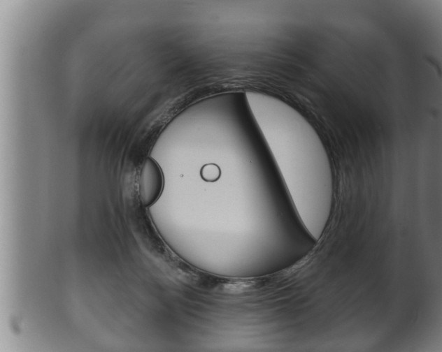 X0000100370172200806060811