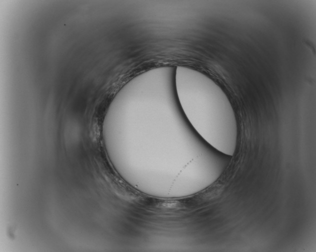 X0000100370173200806060811