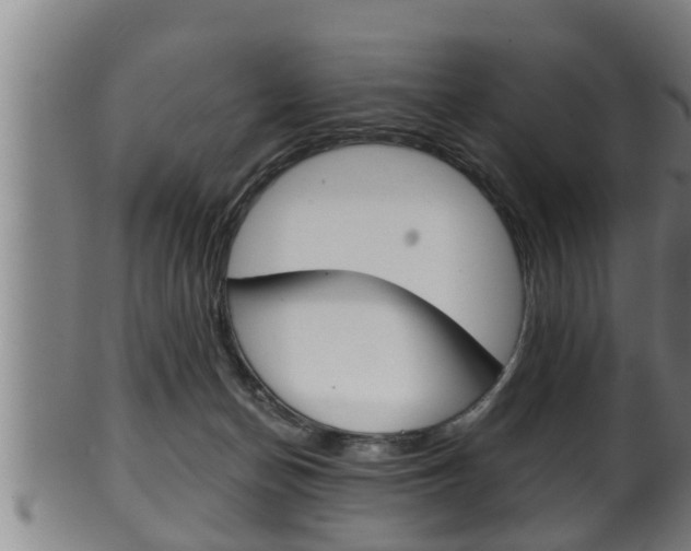 X0000100370174200806060811