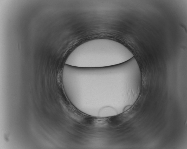 X0000100370175200806060811