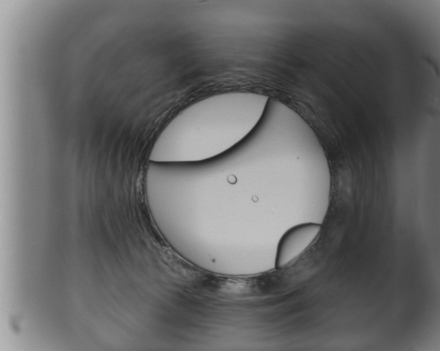 X0000100370177200806060811