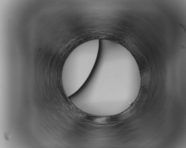 X0000100370178200806060811
