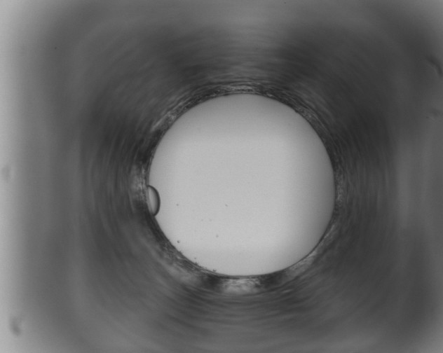 X0000100370179200806060811