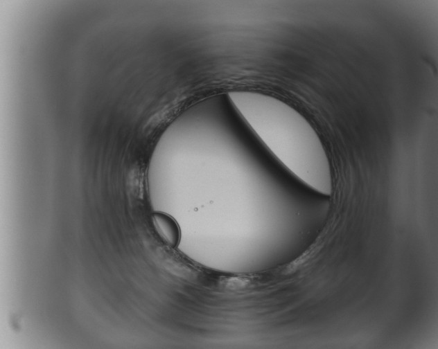 X0000100370180200806060811