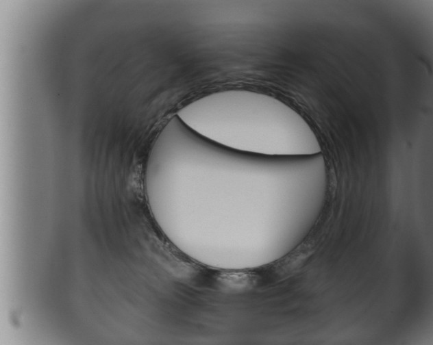 X0000100370181200806060811