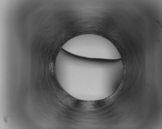 X0000100370182200806060811