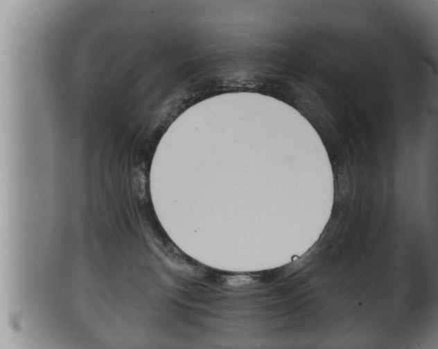 X0000100370183200806060811