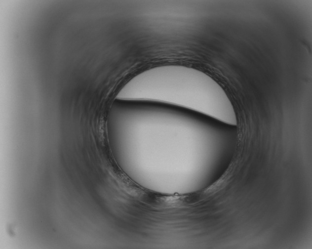 X0000100370184200806060811
