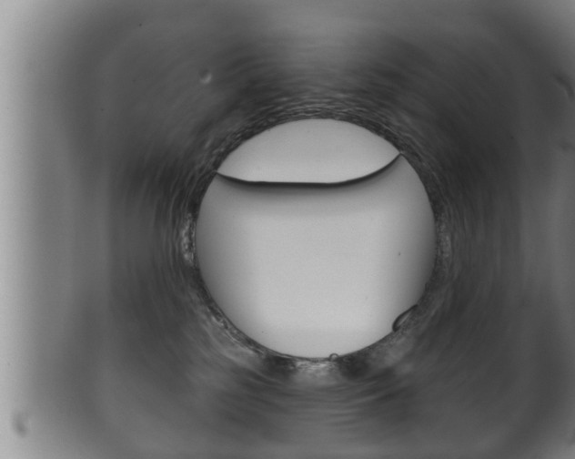 X0000100370185200806060811