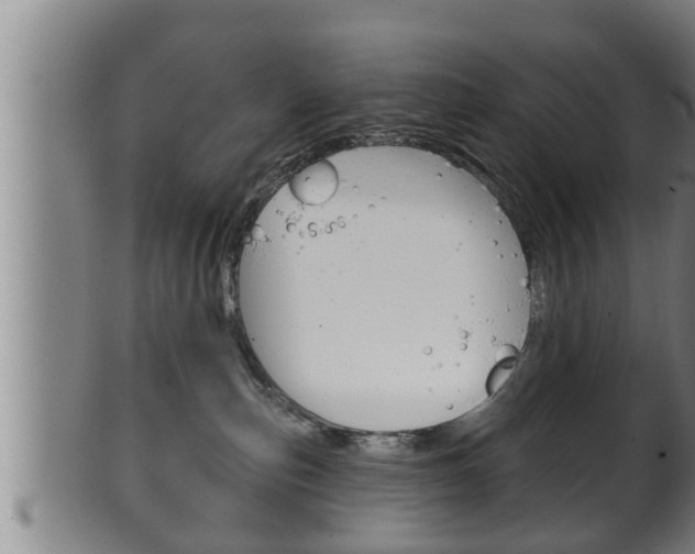 X0000100370187200806060811