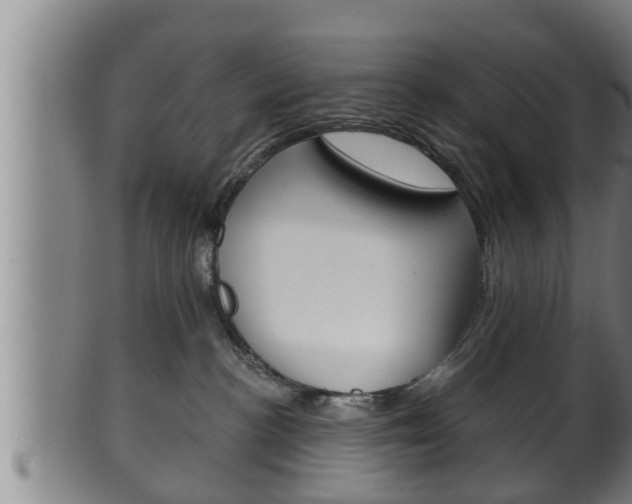 X0000100370188200806060811
