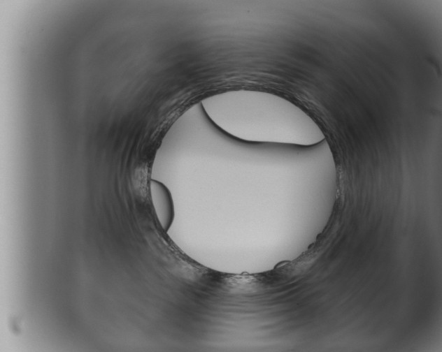 X0000100370189200806060811