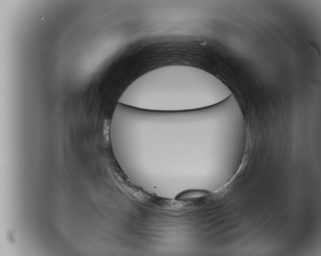 X0000100370191200806060811