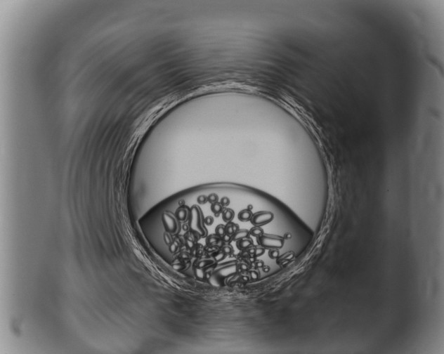 X0000100370193200806060810