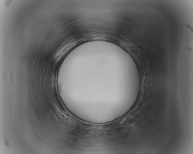 X0000100370194200806060810