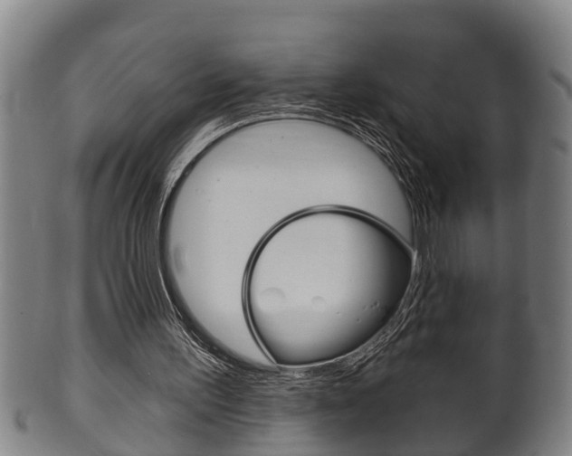 X0000100370195200806060810