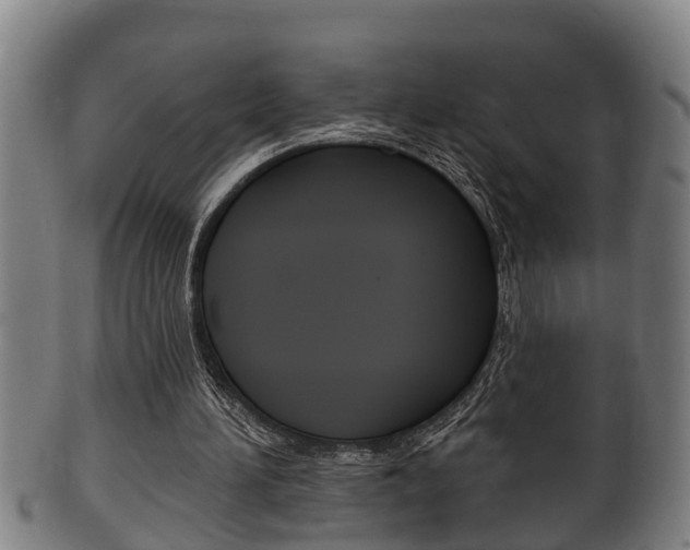 X0000100370196200806060810