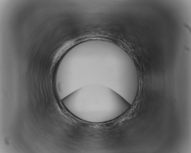 X0000100370197200806060810