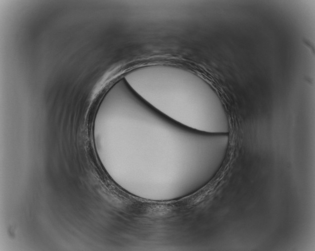 X0000100370198200806060810